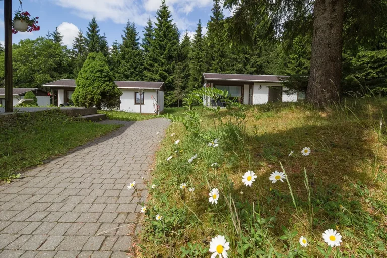 Waldhotel Rennsteighöhe, Frauenwald - Bungalow Morgentau