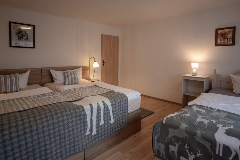 Waldhotel Rennsteighöhe, Frauenwald - Appartement Fuchs