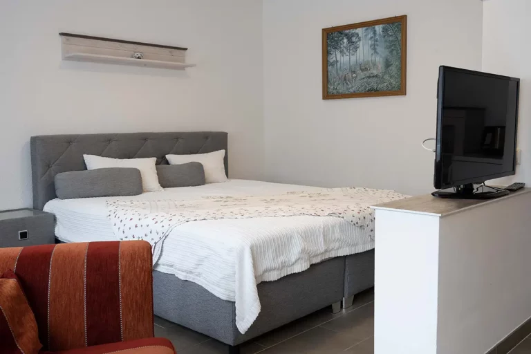 Waldhotel Rennsteighöhe, Frauenwald - Appartement Kleinod